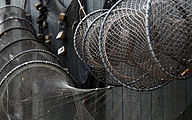 Fish traps